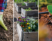 Creating a Beautiful Low-Maintenance Garden